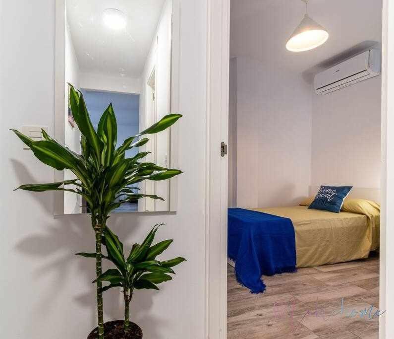 Apartamento 1 En Estadio Sevilla 6 Plazas Y Metro Seville Exterior photo